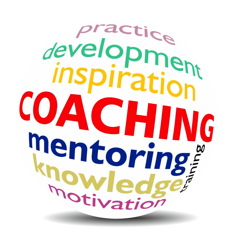 Coaching consultation